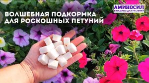 🌸 Волшебная Подкормка Для Роскошных Петуний