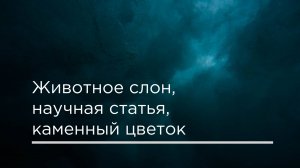 Животное слон, научная статья, каменный цветок