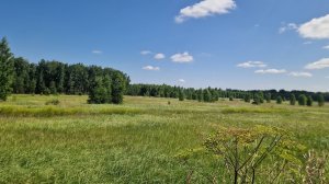 Участок под сельскохозяйственное использование