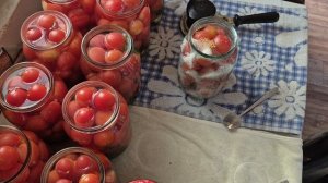 ПОМИДОРОВ МНОГО НЕ БЫВАЕТ...КРУЧУ ВЕРЧУ...ЗАПУТАТЬ ХОЧУ