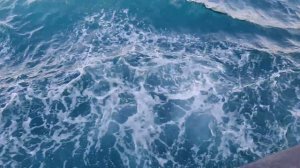 Растём вместе с Нильсом Витязево часть 1