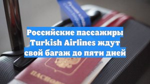 Российские пассажиры Turkish Airlines ждут свой багаж до пяти дней
