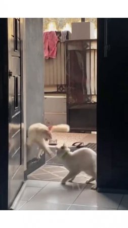 Политехники, смотрите план учебного года?