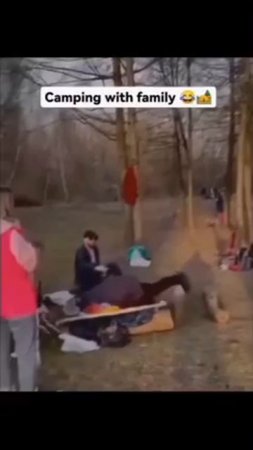 Прикольные видео