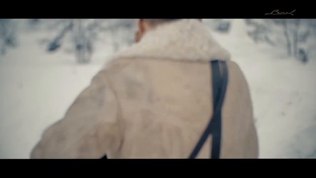 ВИДЕОСТИХИЯ - 2019. Презентация