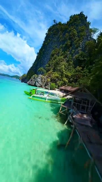 Природа с птичьего взгляда