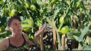 исповедь домохозяйки / работа в огороде для души