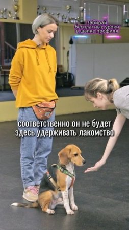 🎁Бесплатные уроки. Жми сюда!