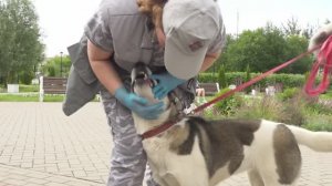 Прогулка с пользой