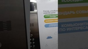 еврооднушка