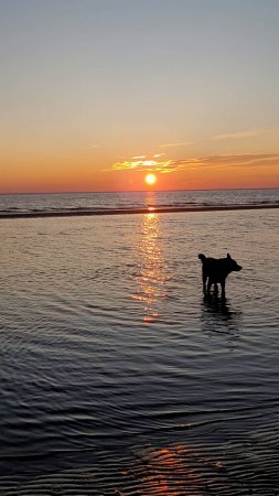Наши Северные Закаты на Белом море