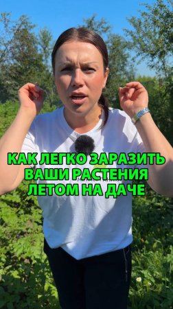 Как легко заразить растения летом на даче