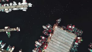 Тунис, путешествие в страну контрастов. Июль 2025