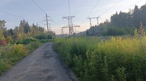 Магнолия