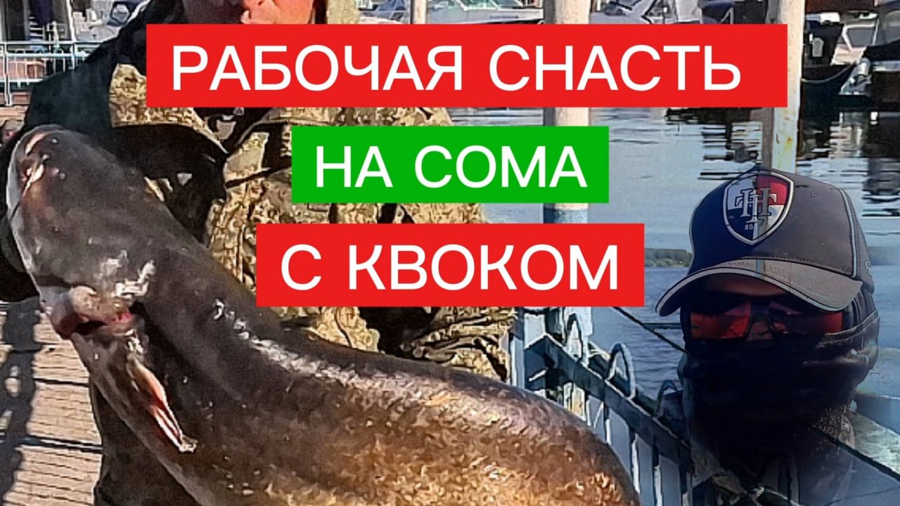 СНАСТЬ на СОМА. РАБОЧАЯ и САМАЯ ПРОСТАЯ СНАСТЬ для ловли СОМА С КВОКОМ. Ловля сома.