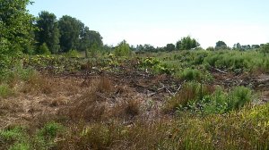 (Рыбинск-40) УЧАСТКИ, ПРЕТЕНДУЮЩИЕ НА ИЗЪЯТИЕ