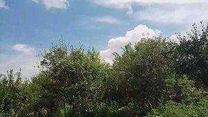 Самара. Ново Семейкино, жизнь на даче