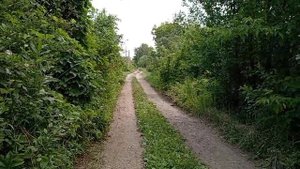 Дачная дорога