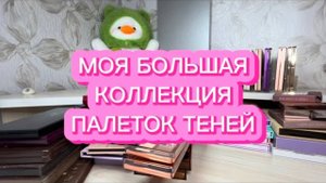 МОЯ КОЛЛЕКЦИЯ ПАЛЕТОК ТЕНЕЙ _ НЕБОЛЬШОЕ РАСХЛАМЛЕНИЕ