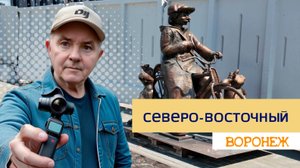 Северо-восточный мкр. Воронеж 25.07.25г