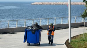 Чистый город: работу дворников в Петербурге будут контролировать в приложении