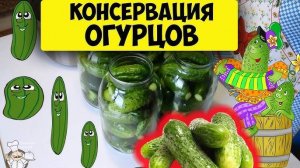 Маринованные огурцы на зиму просто чудо! Хрустящие, ароматные! Рецепт просят все! Огурцы на зиму!