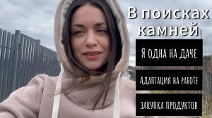 В поисках булыжников для забора / Начались рабочие будни / Доставка перекрестка