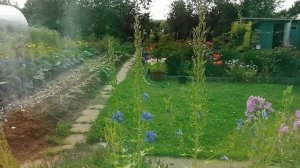 Вид из окна