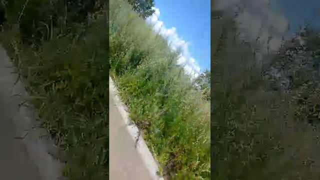 .....,.,.. смотреть онлайн