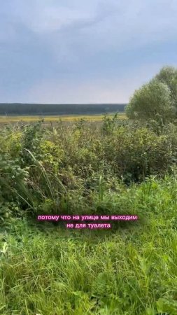 Какие ошибки я совершила #кинолог #собака #суперсобака #животные #кинология