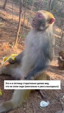 Главное — пережить этот день