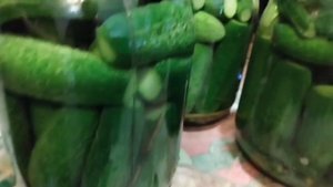 Готовимся к зиме