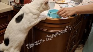 всем хочется вкусно покушать.