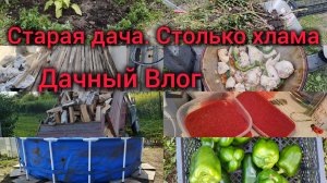 Старая дача. Столько хлама. Дачный Влог