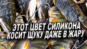 ЭТО РЕАЛЬНО ЛУЧШИЙ ЦВЕТ СИЛИКОНА НАИ ЩУКУ И ОКУНЯ В ЖАРУ! РЫБАЛКА НА СПИННИНГ 2025