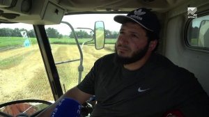 Битва за урожай пшеницы идет в полях Карачаево-Черкесии