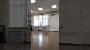 Силовая с гантелями по 2 кг.!