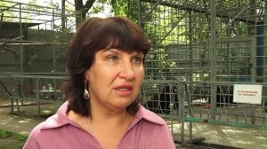 (24.07.2025) Медведицы Маша и Дуся с базы отдыха “Мишкина берлога” переехали в зооцентр "Питон"