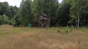 Заказник Подвеликий Мох _ Лето