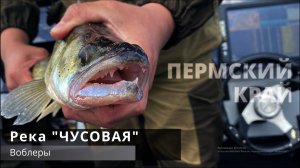 РЫБАЛКА в Пермском Крае / СУДАК /  ЩУКА / ОКУНЬ / Река "ЧУСОВАЯ" / д. Ветляны