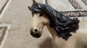 обращение к каналу София horses