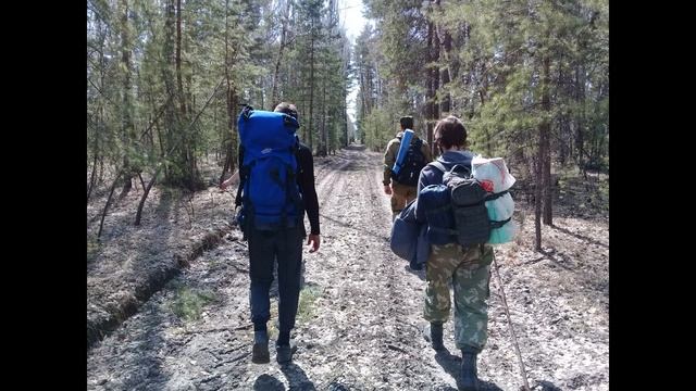 Мистика в лесу - странные случаи с клещами