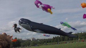 Пестрое небо. Фестиваль воздушных змеев.