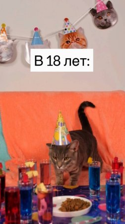 Когда ДР удался!