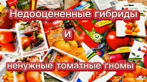 Гибриды недооценила,а гномами наигралась.