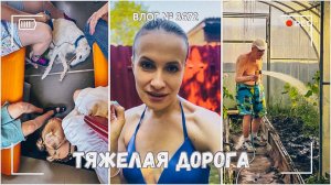 Тяжелая дорога домой | Наша дача в удачном месте! - ВЛОГ №3672 - 23.07.25