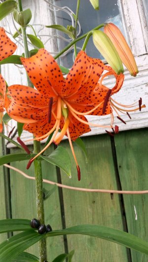 здравствуйте