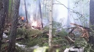 На месте крушения Ан-24 в Амурской области обнаружены бортовые самописцы