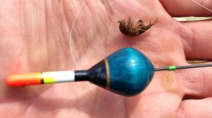 ЛОВЛЮ на РАЧКА-БОКОПЛАВА. НА НЕГО КЛЮЁТ, ДАЖЕ СЫТАЯ РЫБА. Рыбалка на поплавок на ОКЕ.