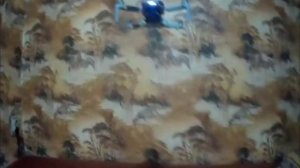 мой DJI MINI 2 зависание в квартире )))